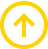 Button Icon